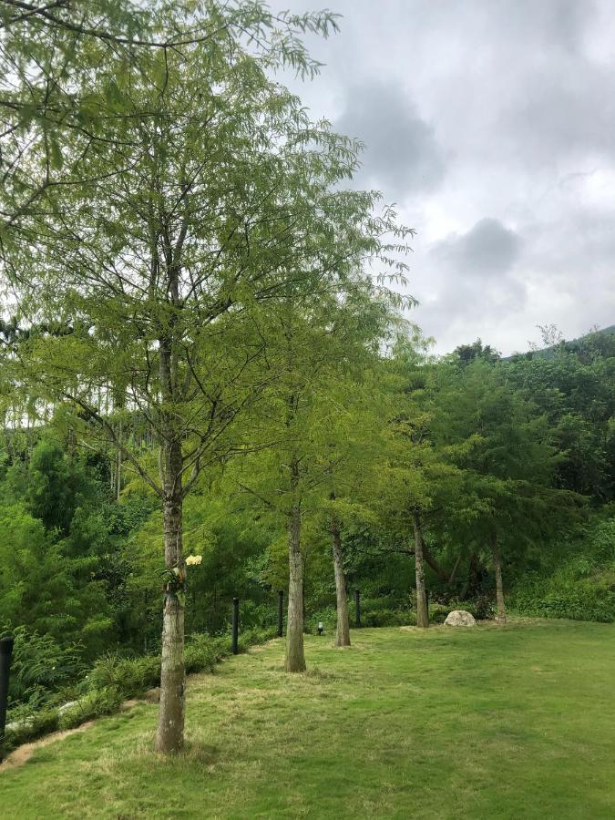 凤林镇晨曦森林民宿住宿加早餐旅馆 外观 照片